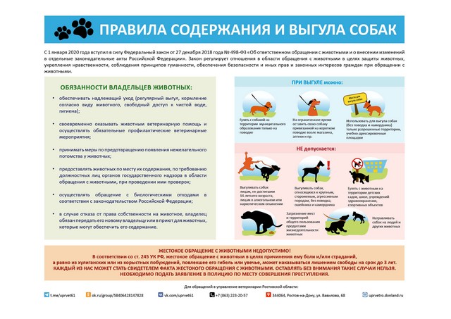 sterilizaciya 2